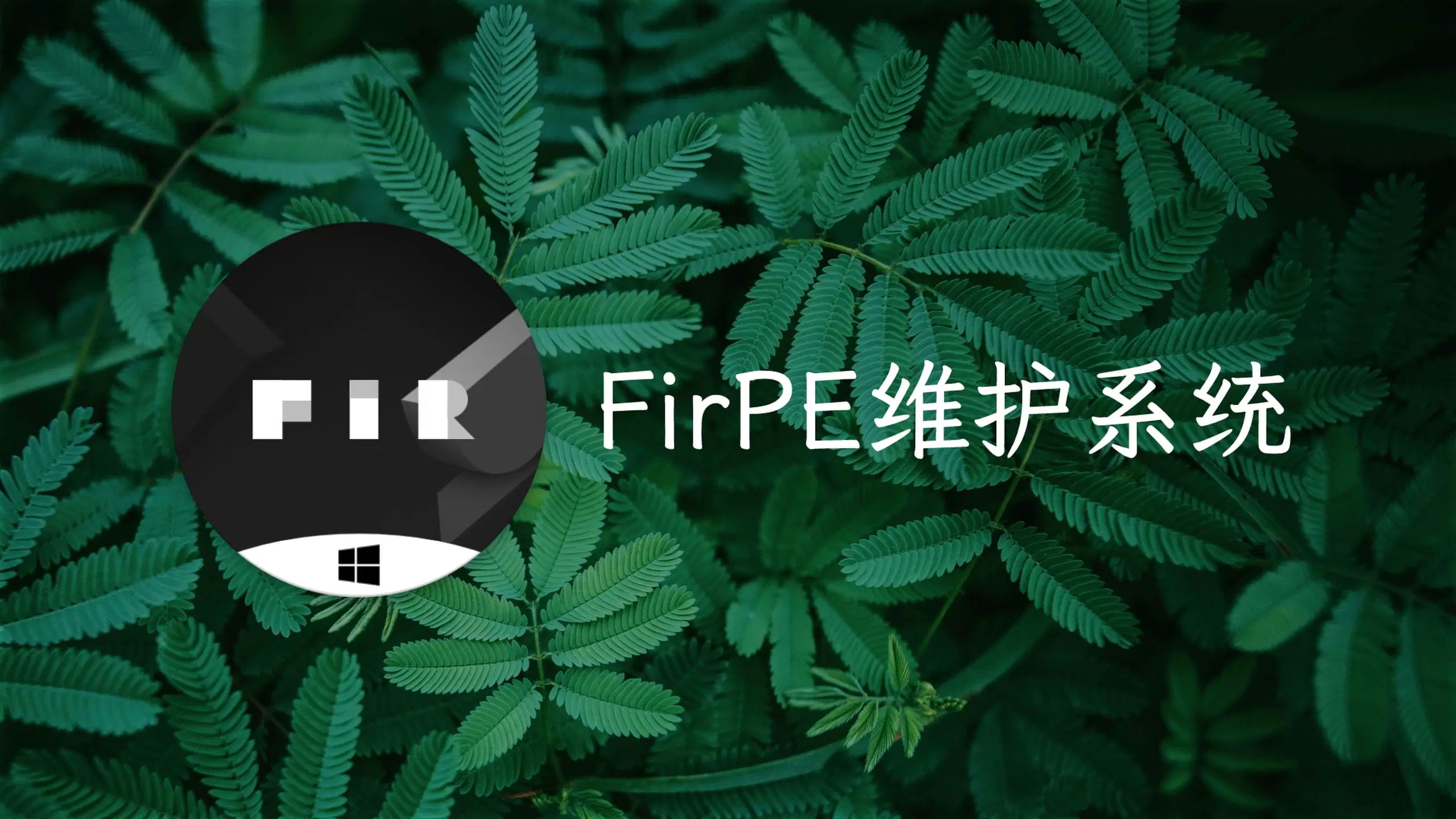 FirPE V2.0.3