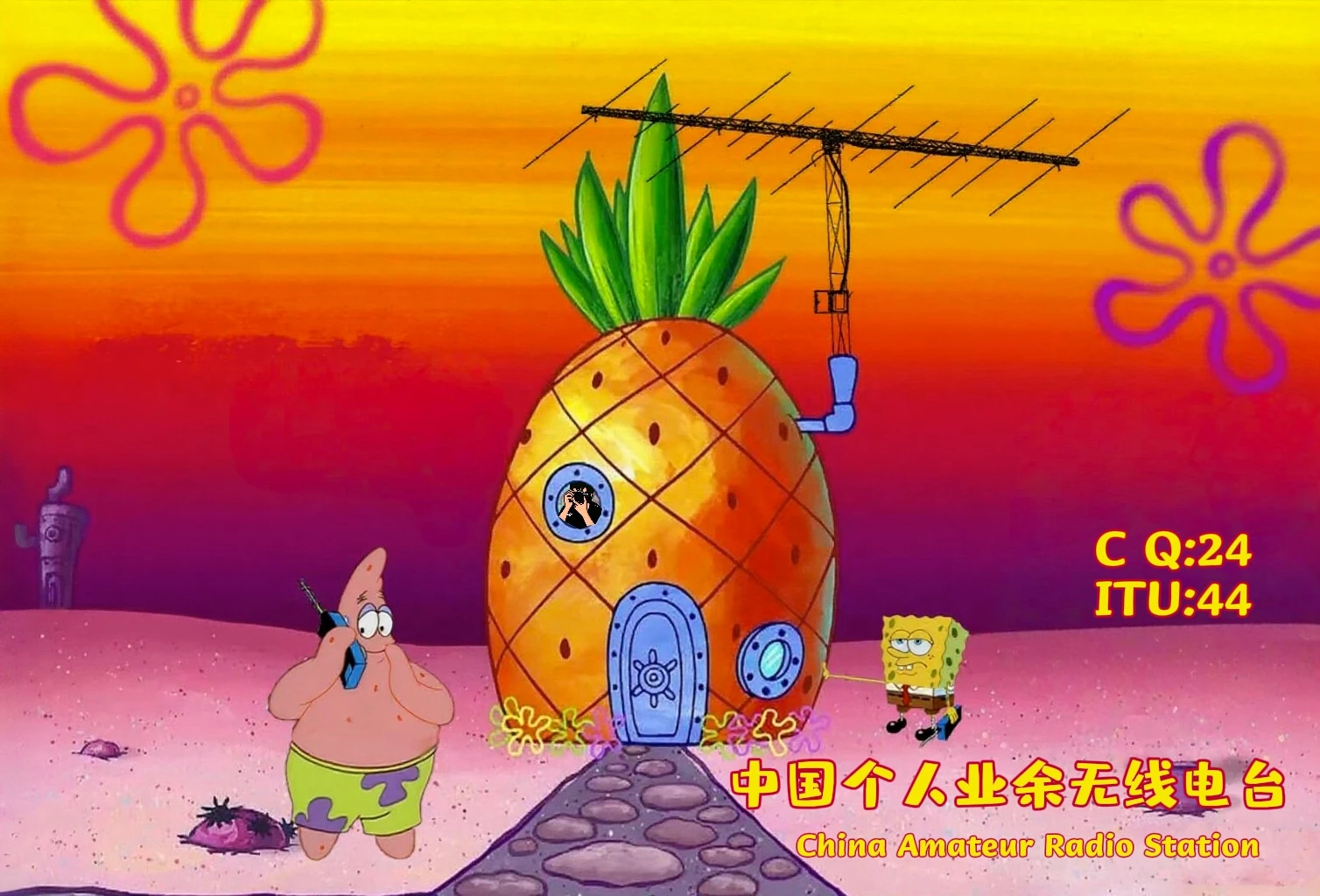 业余无线电台执照申请指南